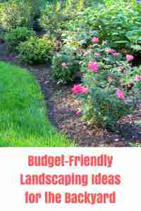 10 Ideas for Backyard Landscaping on a Budget