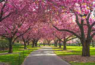 15 Breathtaking Botanical Gardens to Visit This Season